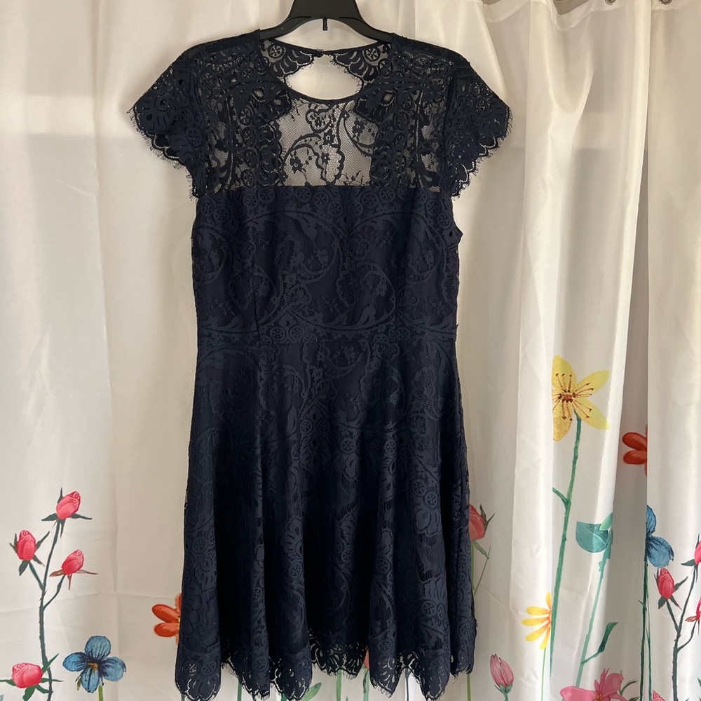 BB Dakota Navy Lace Cocktail Dress